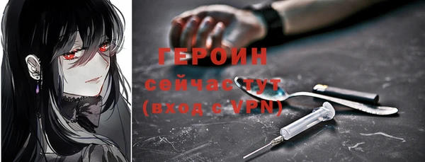 дживик Снежногорск