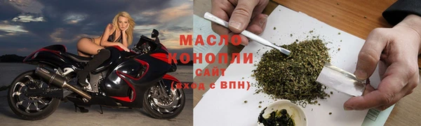 дживик Снежногорск