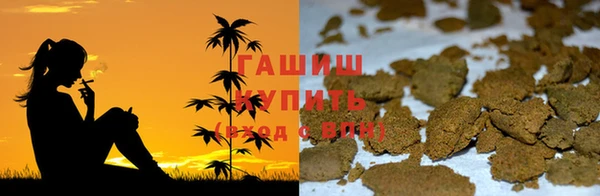 индика Арсеньев