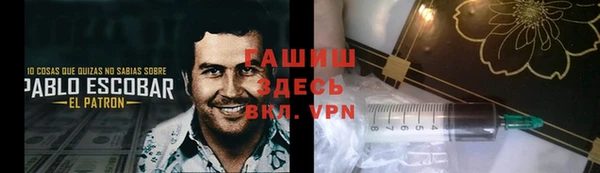 дживик Снежногорск