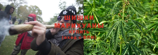 apvp Снежинск