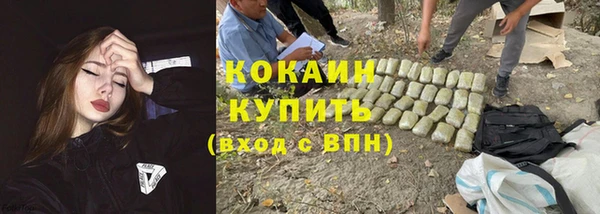 шишки Армянск