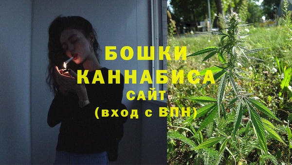 дживик Снежногорск